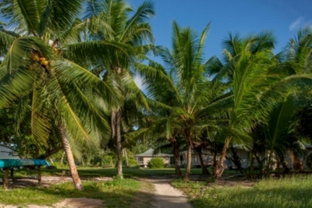 Le Vasseur La Buse Eco Resort Anse la blague Exteriér fotografie